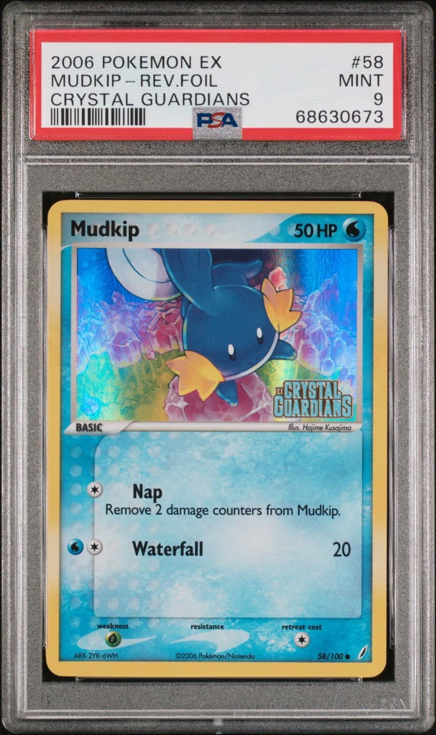 Mudkip