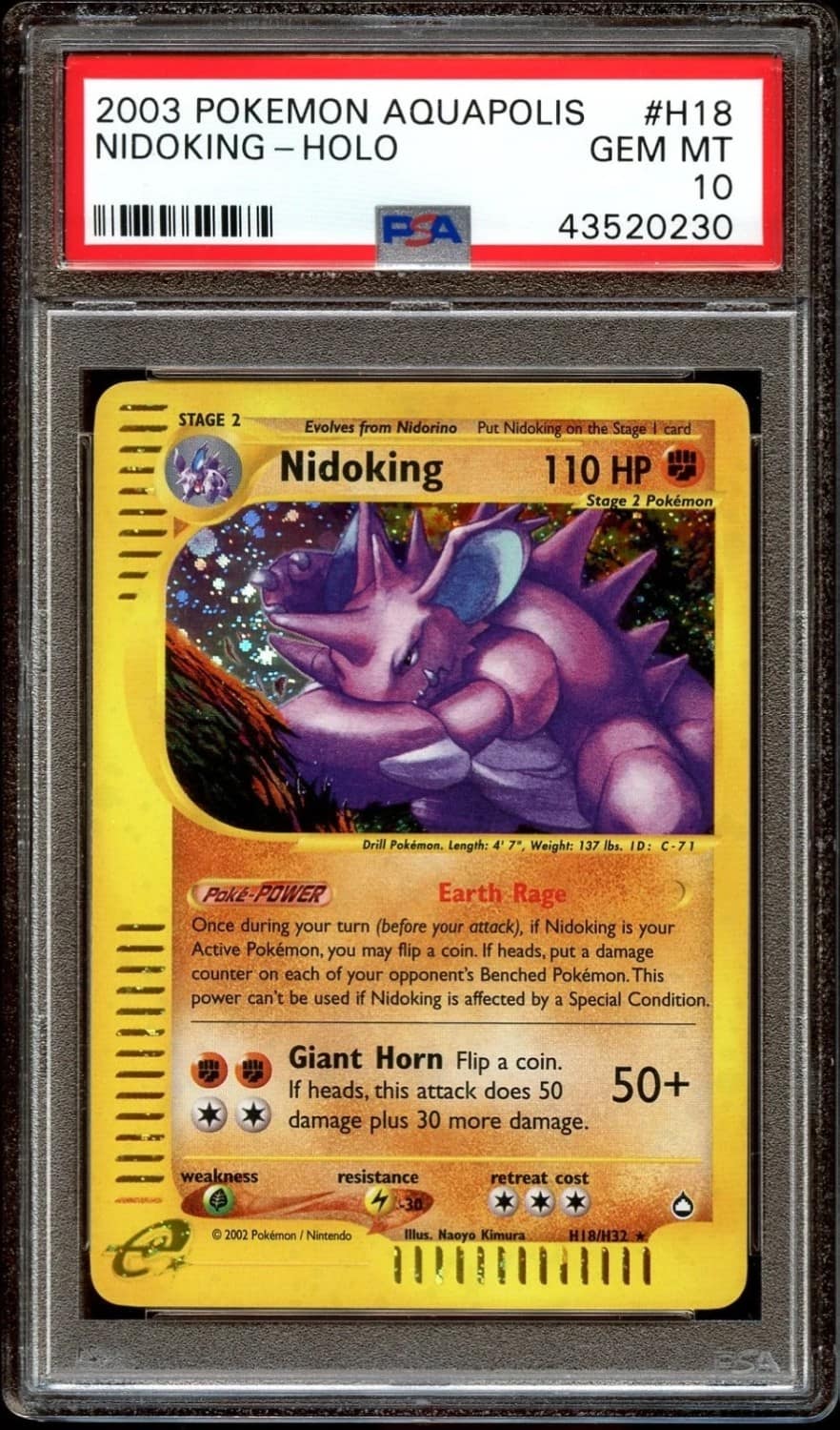 Nidoking