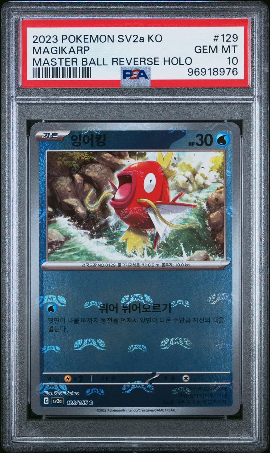 Magikarp
