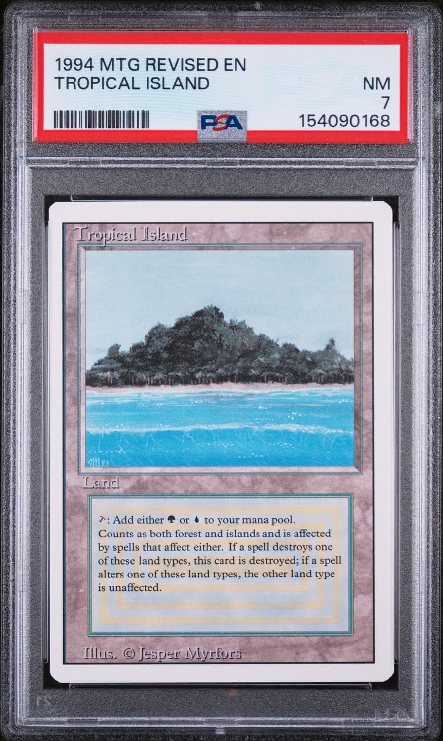 Tropical Island