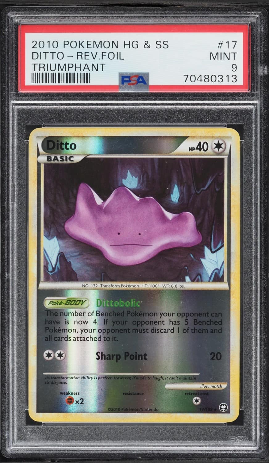 Ditto