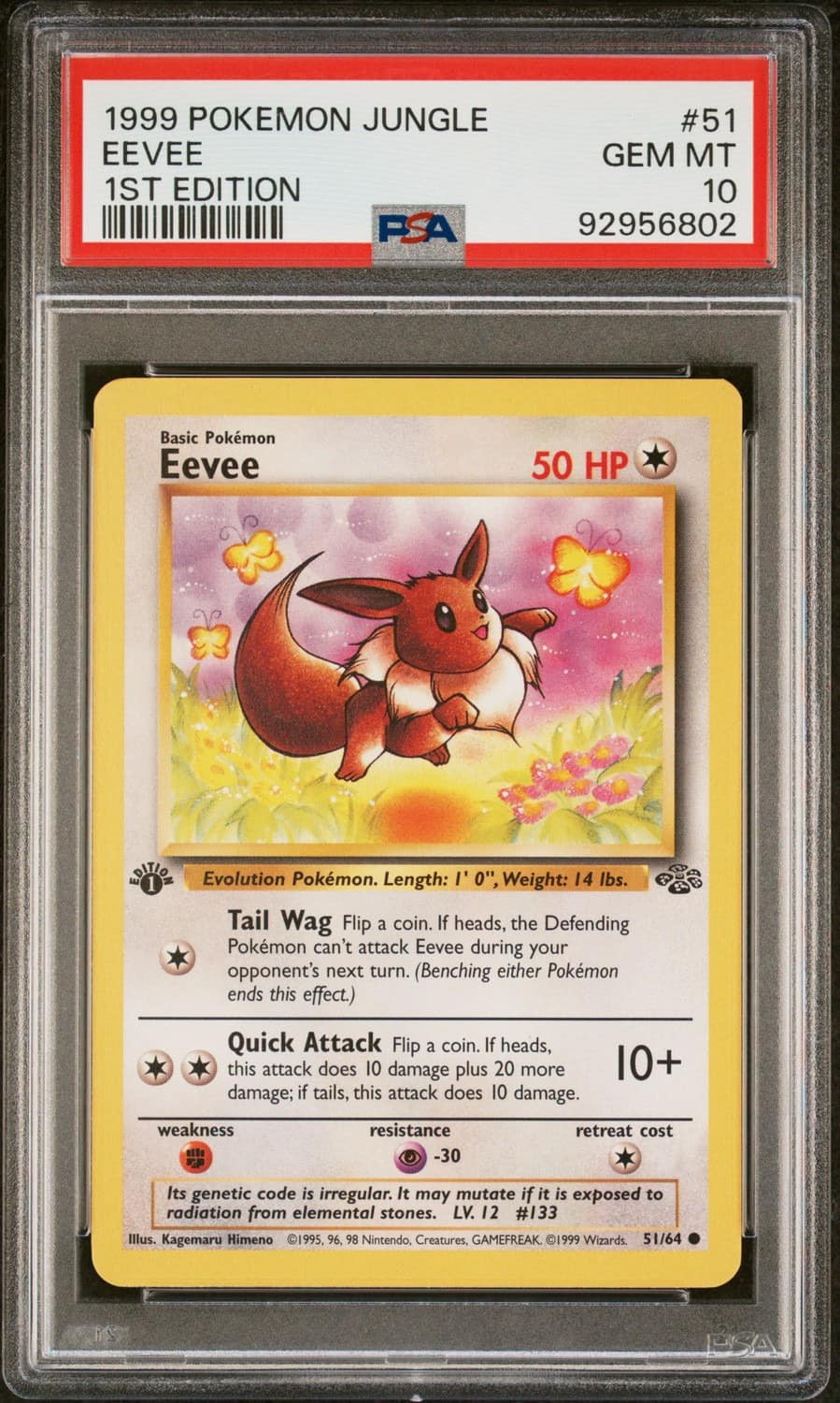 Eevee