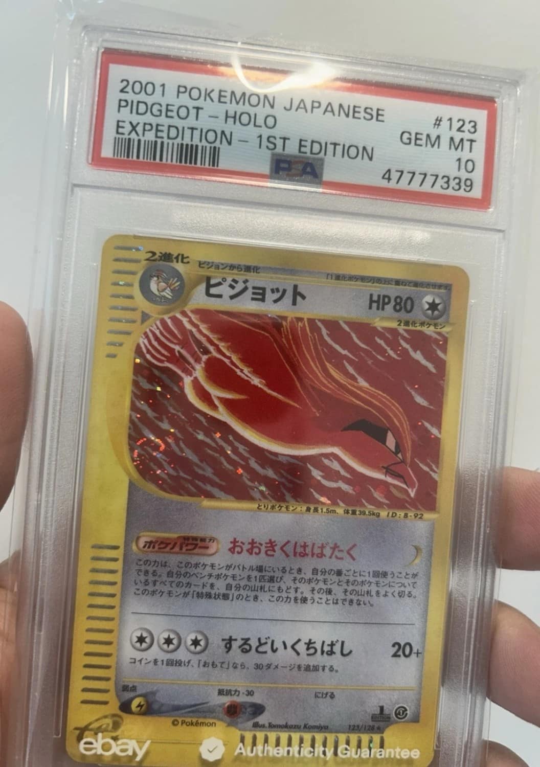Pidgeot
