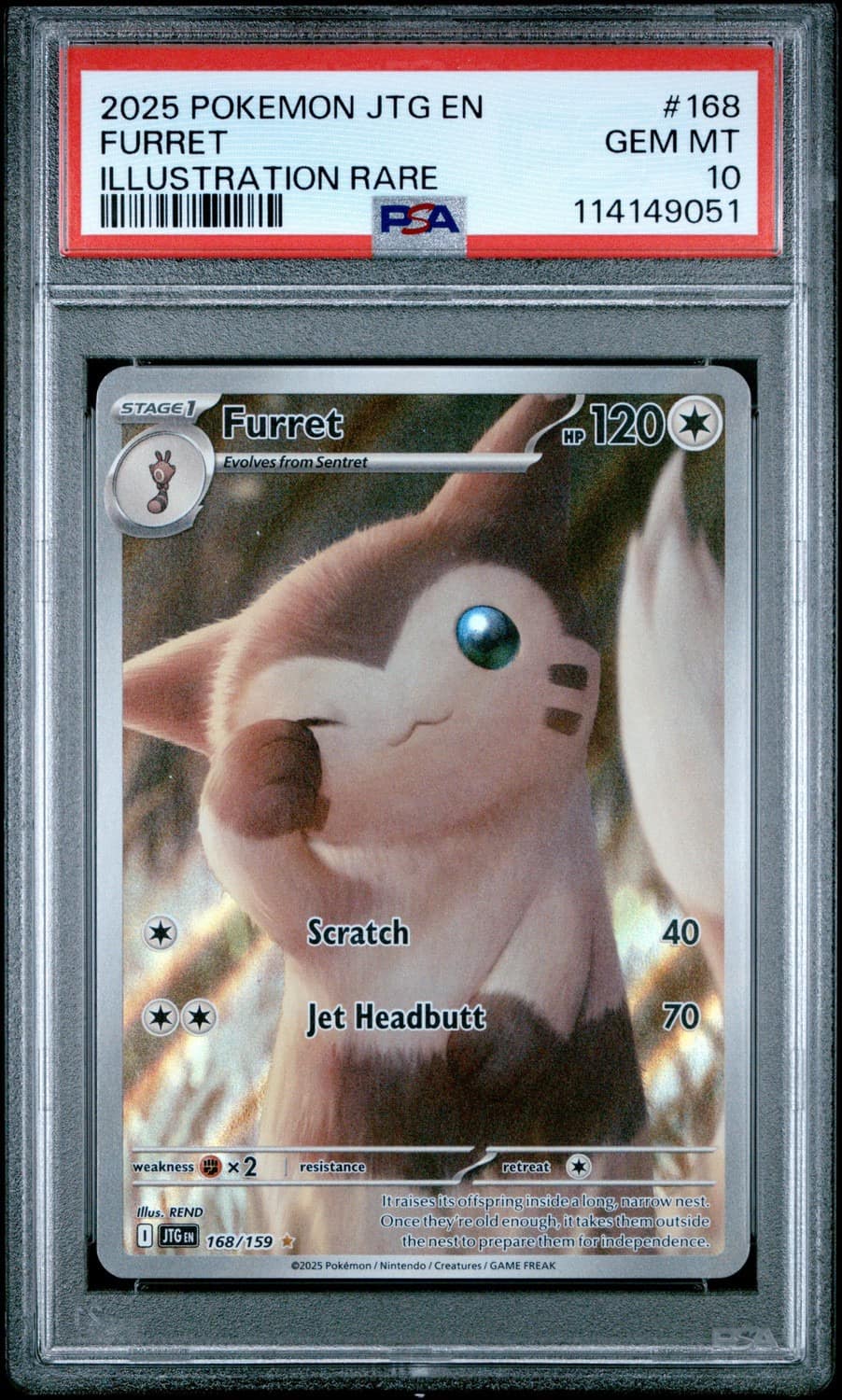 Furret