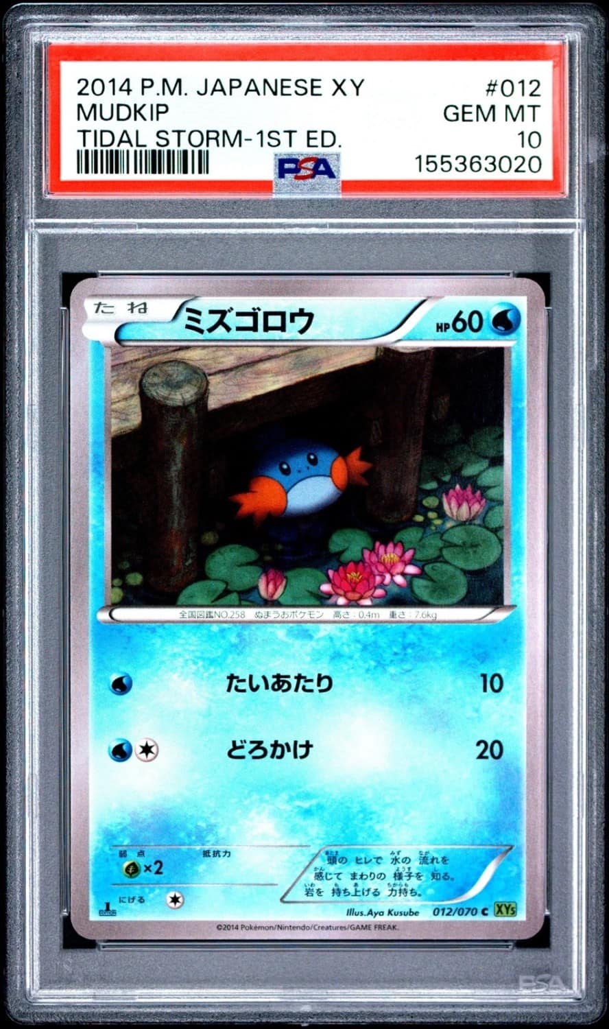 Mudkip