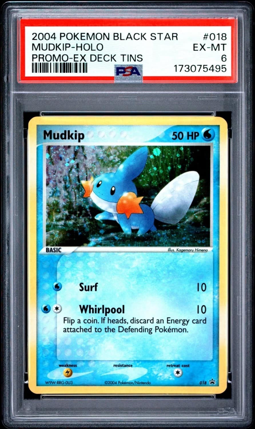 Mudkip