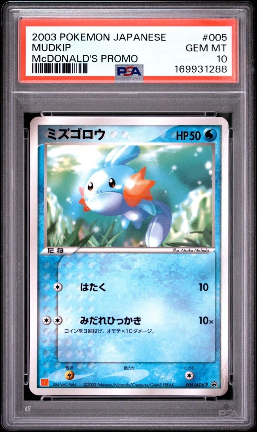 Mudkip