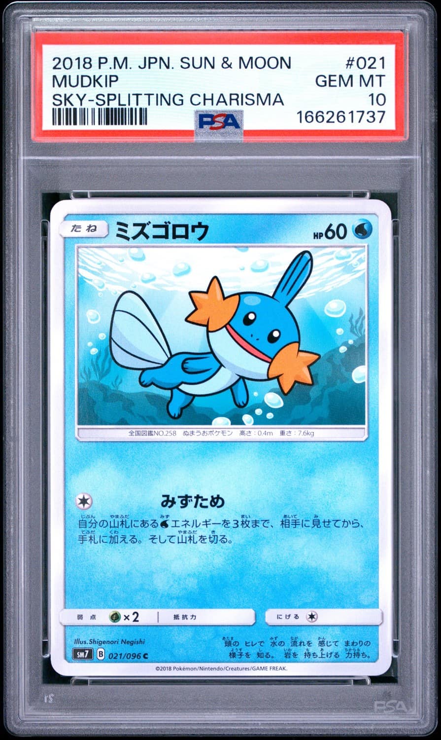 Mudkip