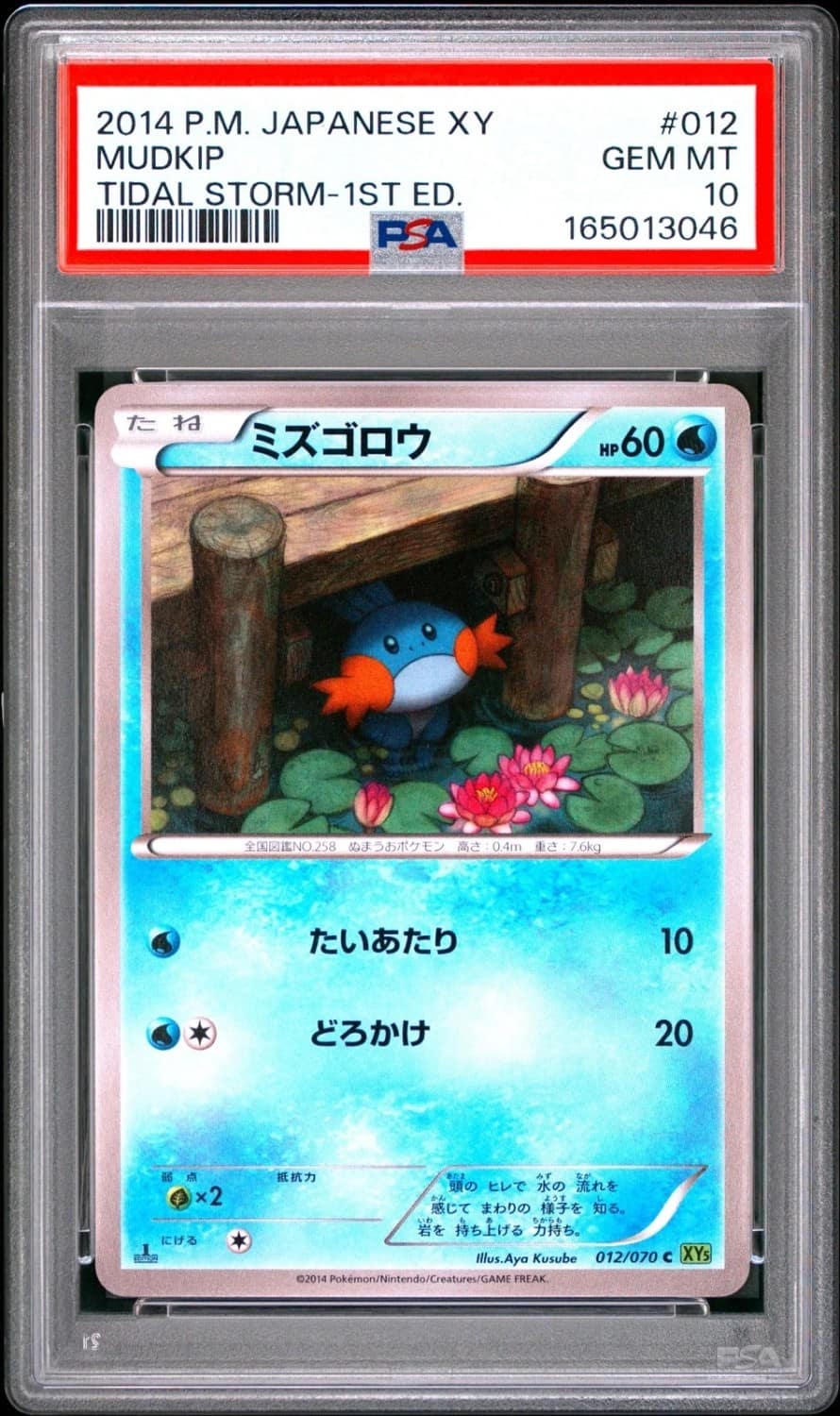 Mudkip