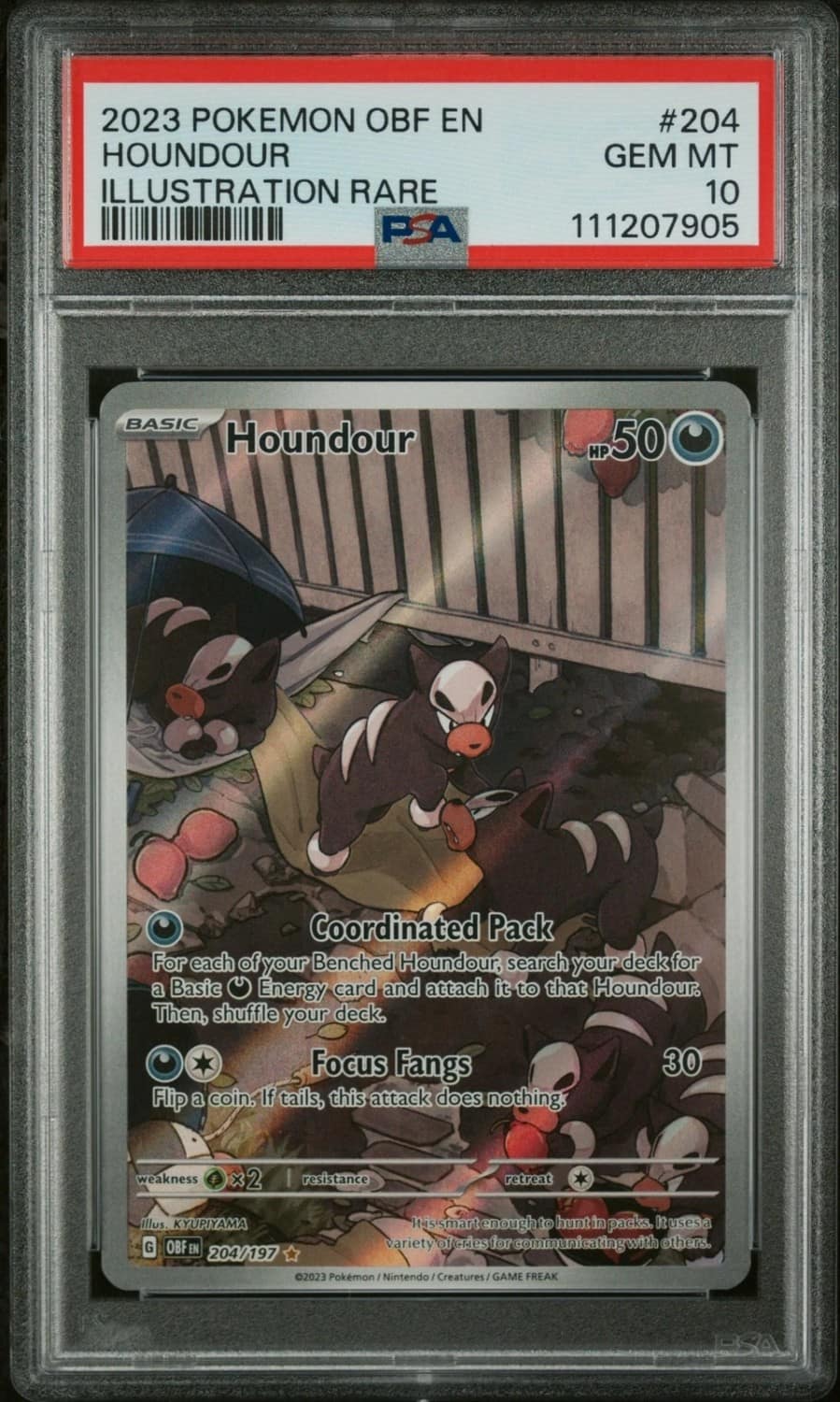 Houndour