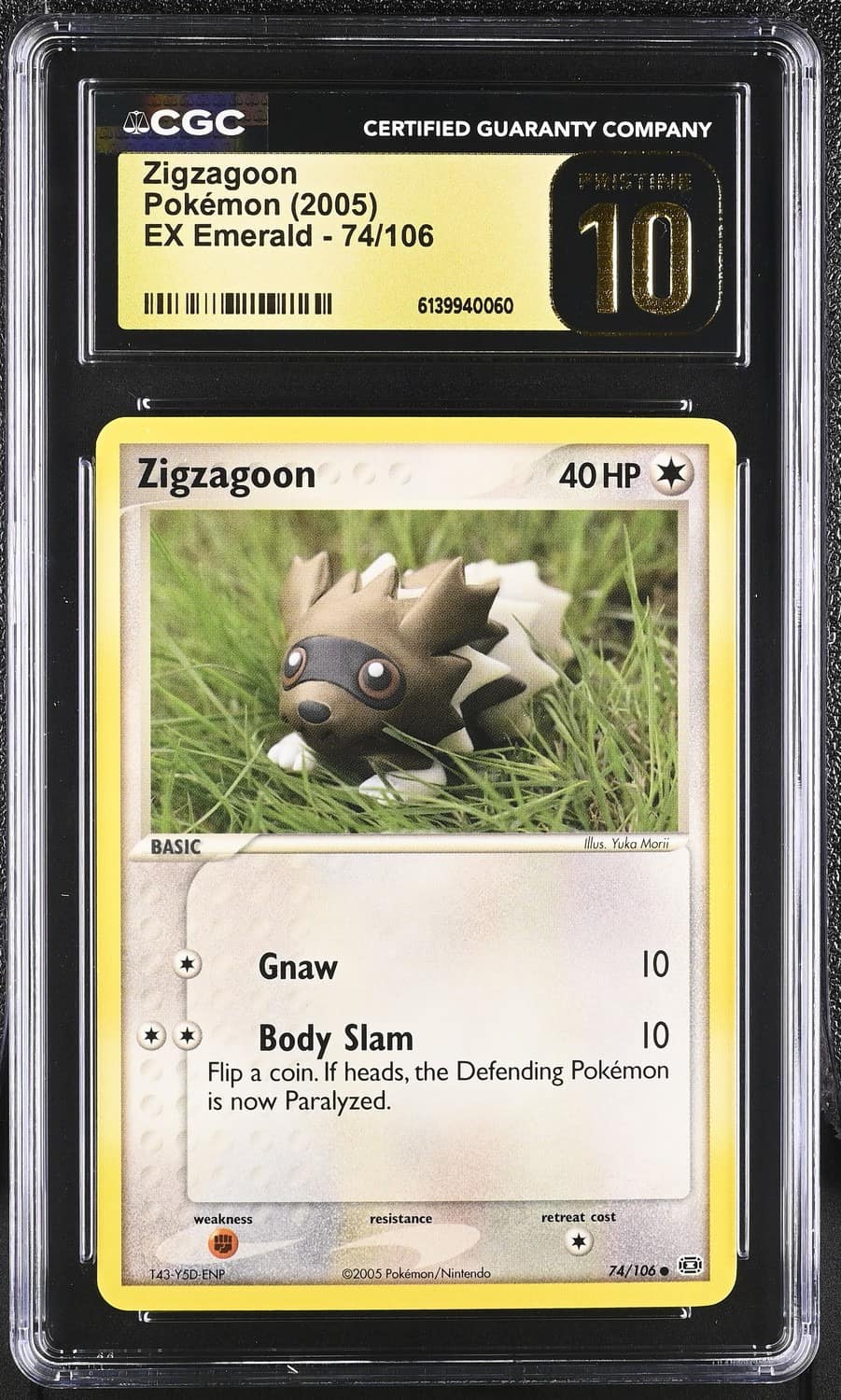 Zigzagoon