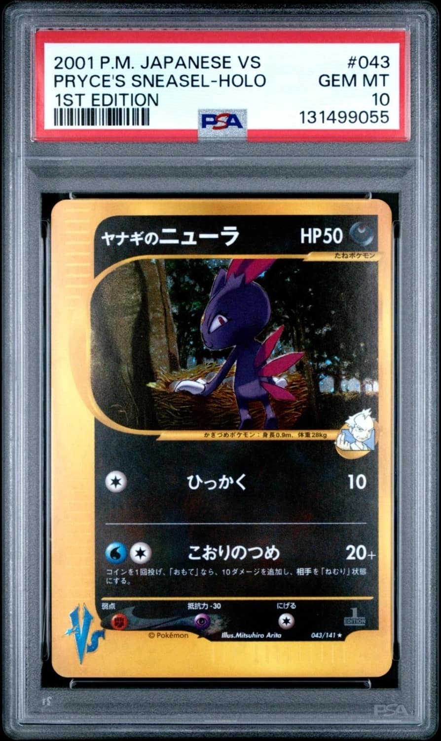 Pryce'S Sneasel