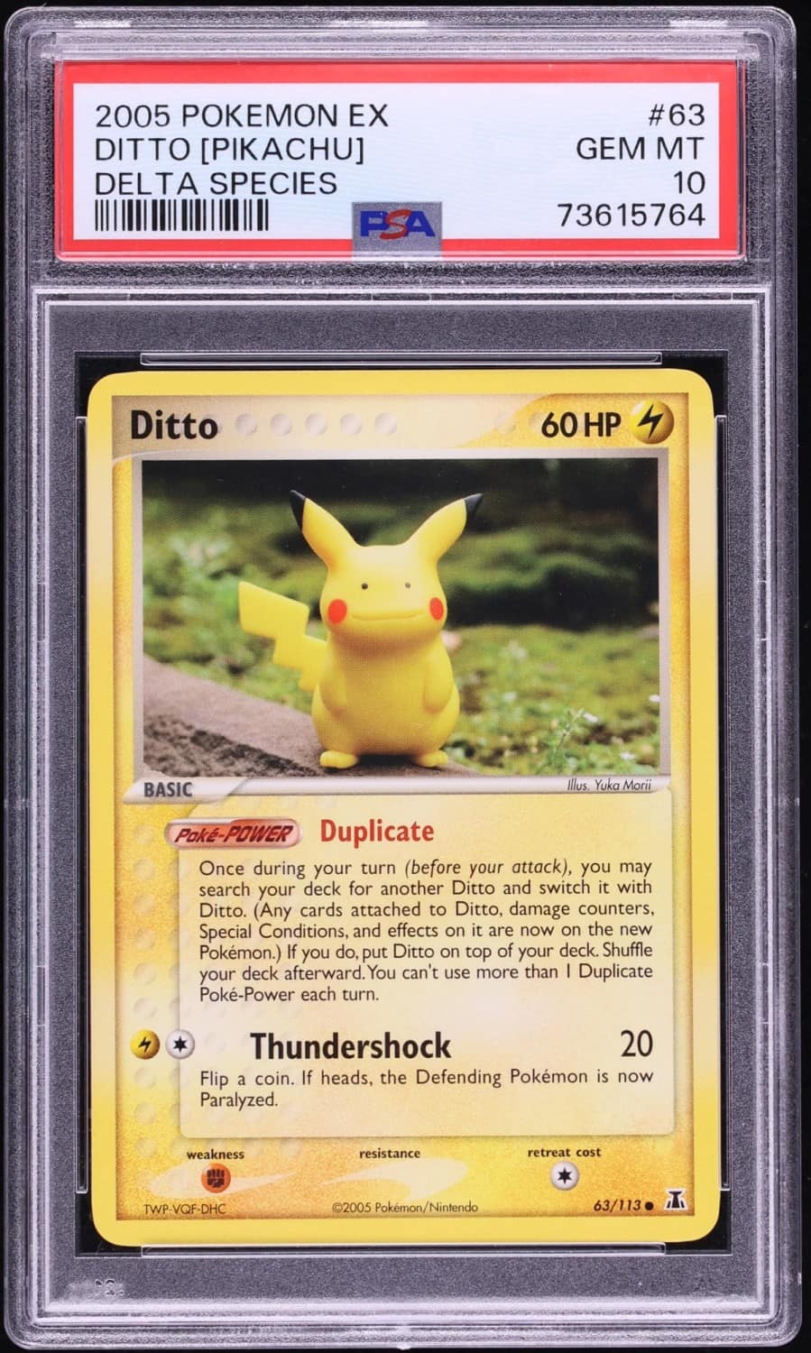 Ditto [pikachu]