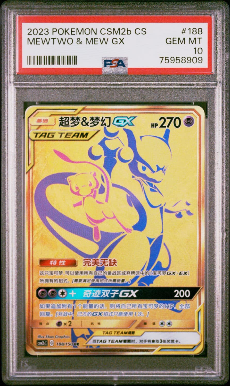 Mewtwo & Mew Gx