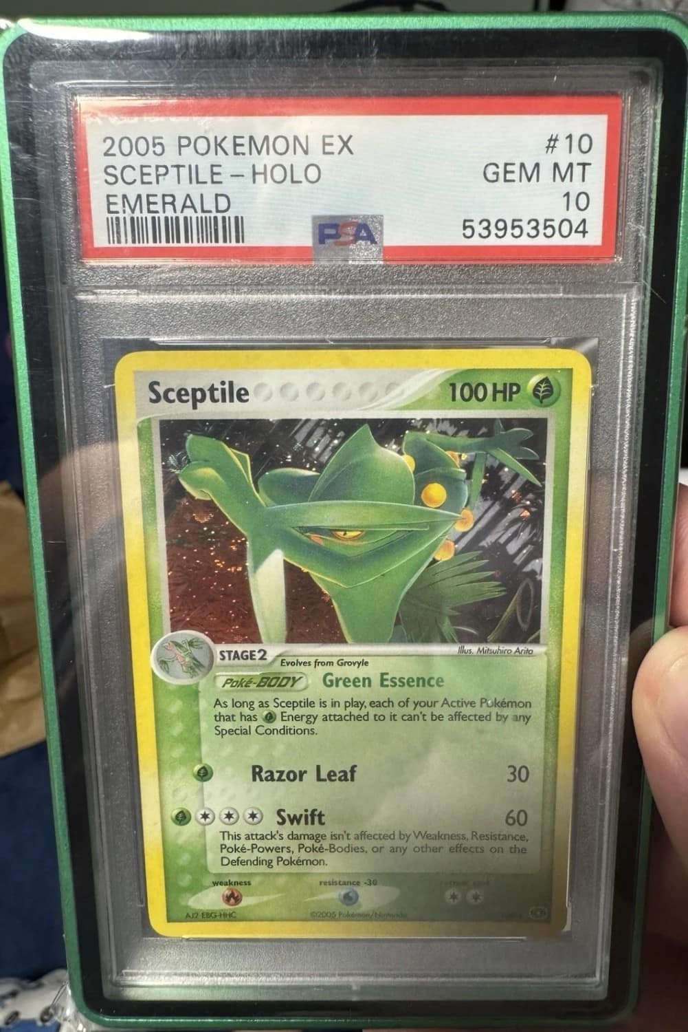 Sceptile