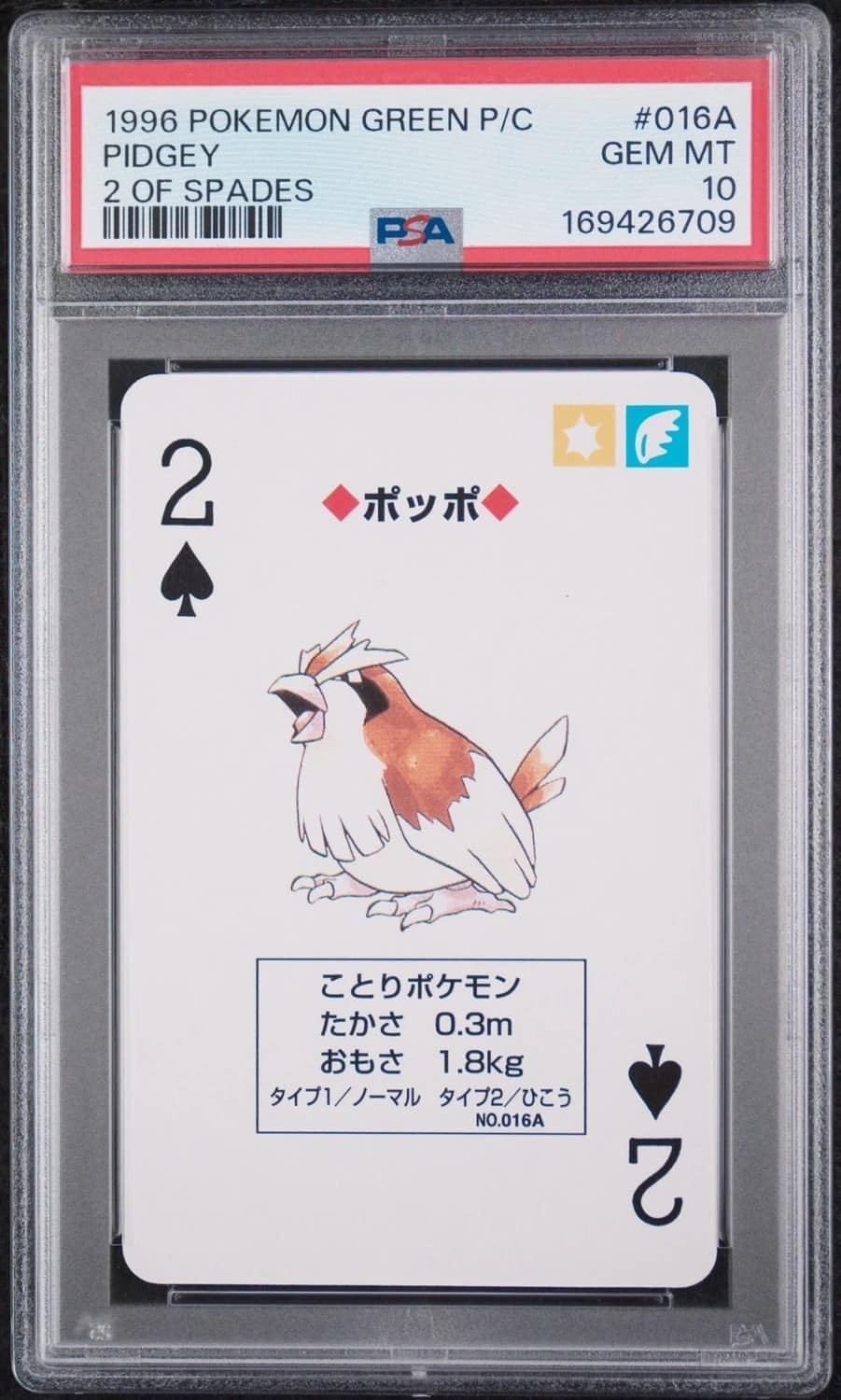 Pidgey