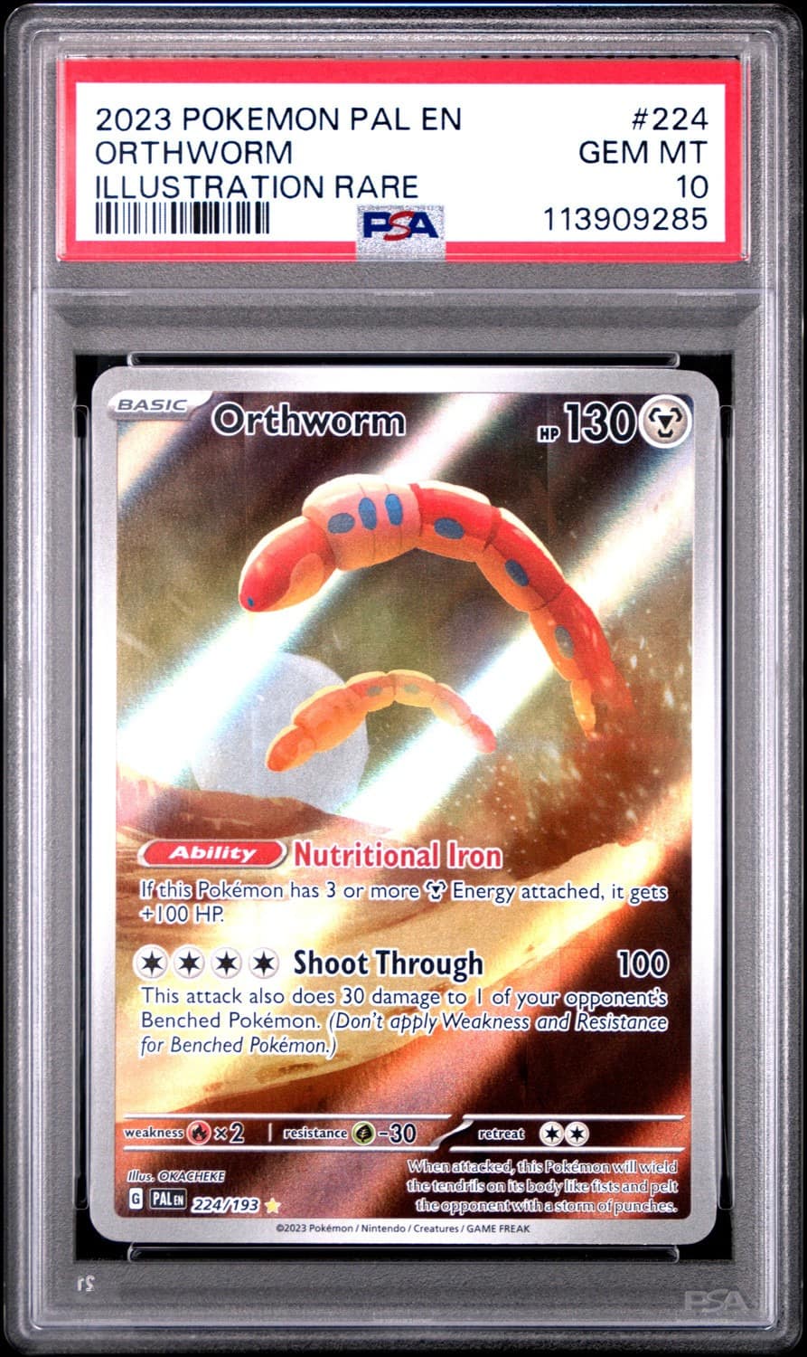 Orthworm