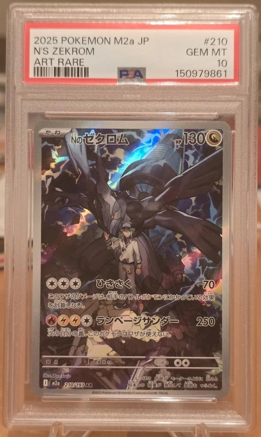 N'S Zekrom