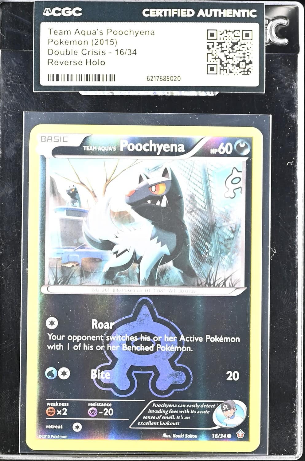 Team Aqua'S Poochyena