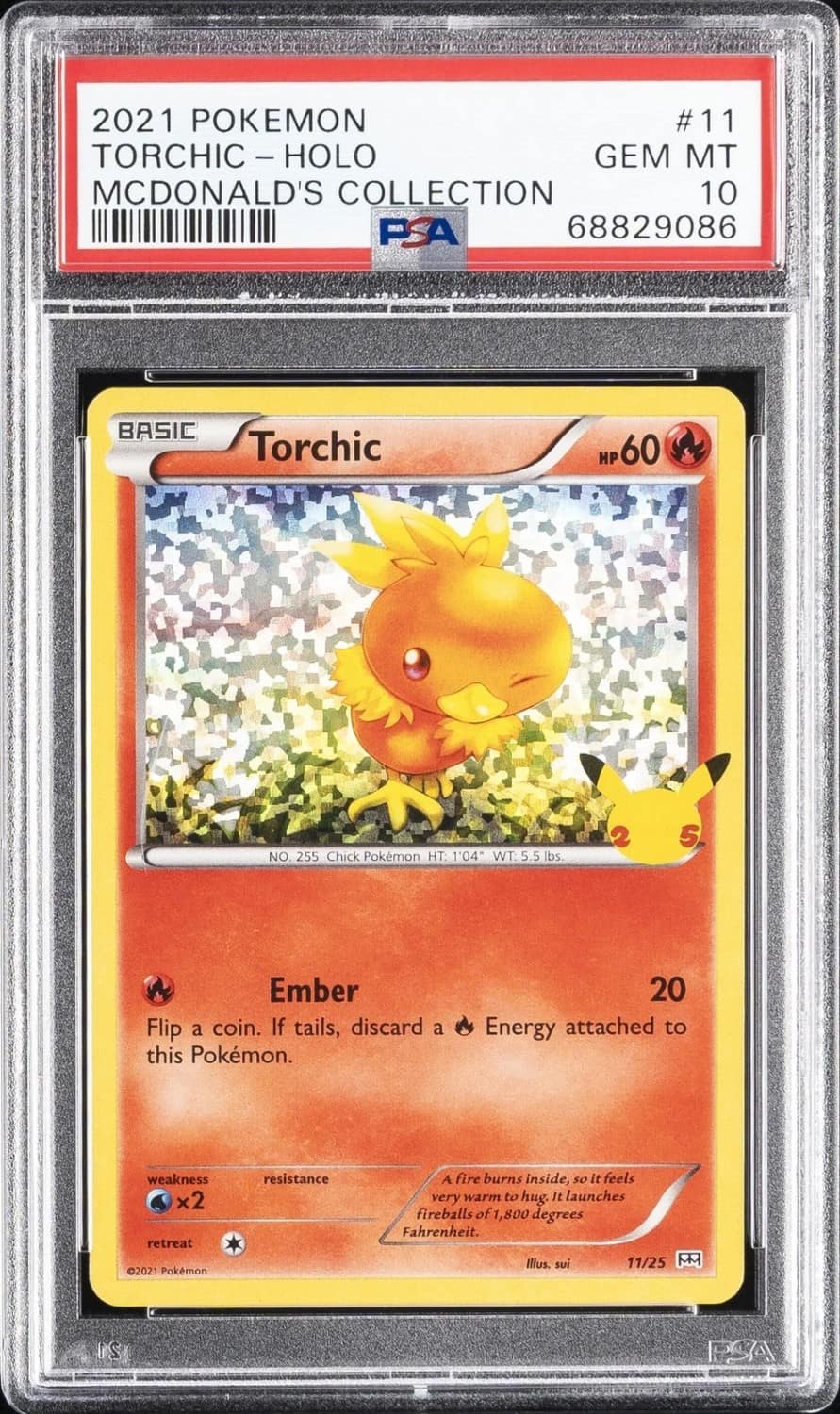 Torchic