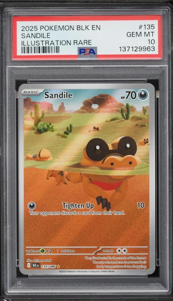 Sandile