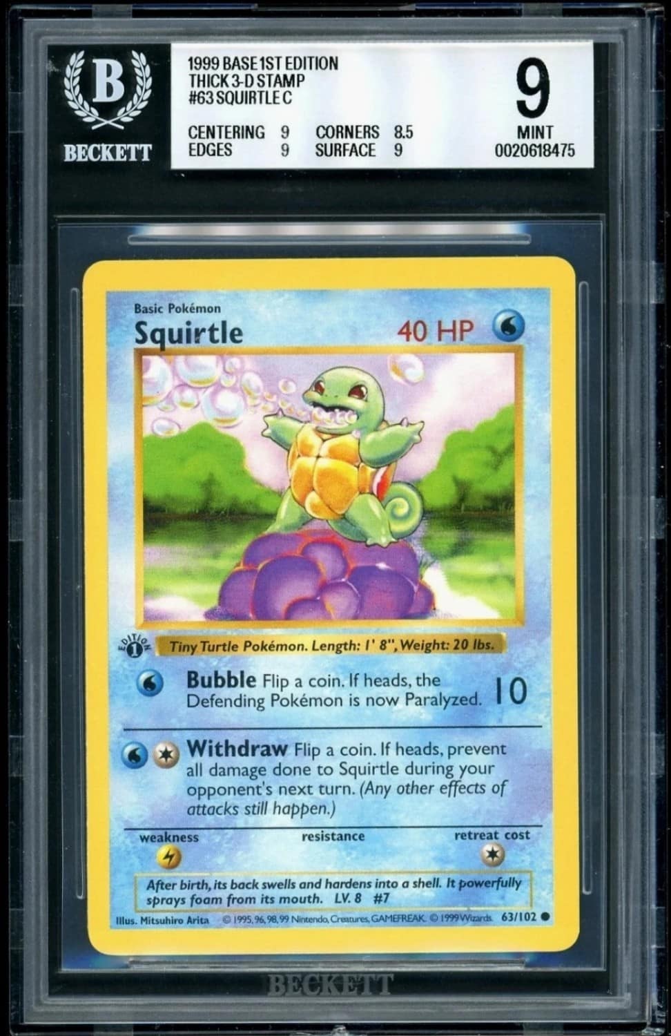 Squirtle C