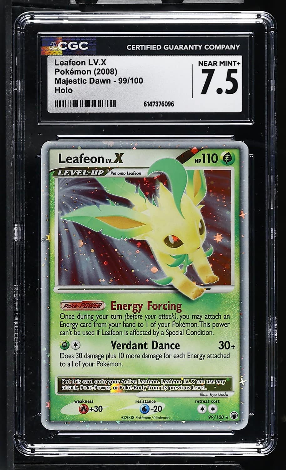 Leafeon Lv X
