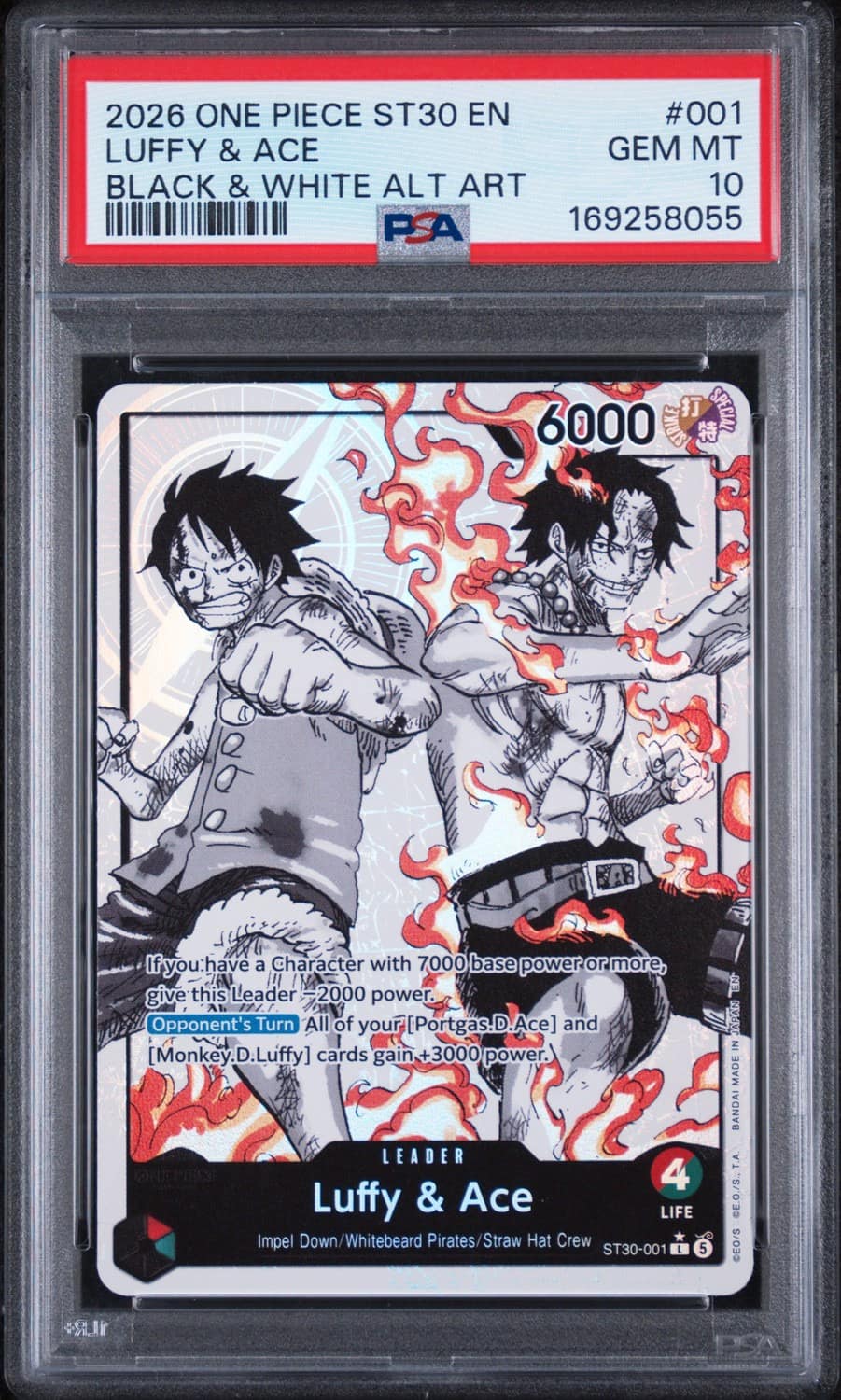 Luffy & Ace