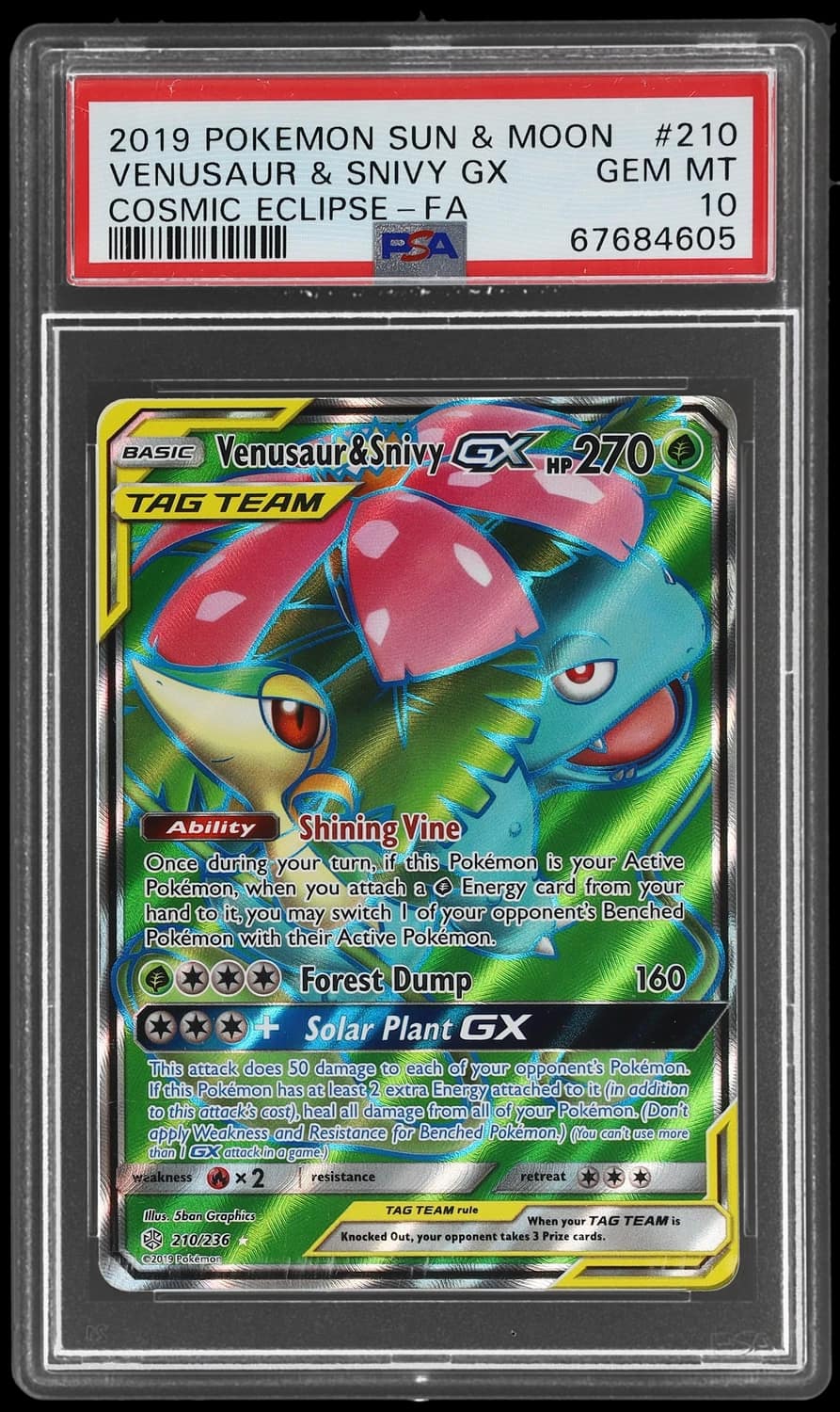 Venusaur & Snivy Gx