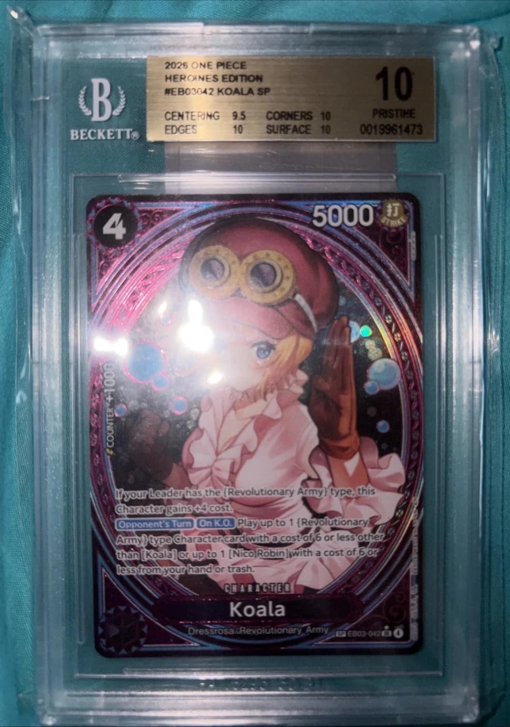 Koala