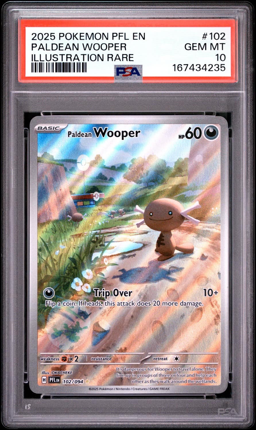 Paldean Wooper