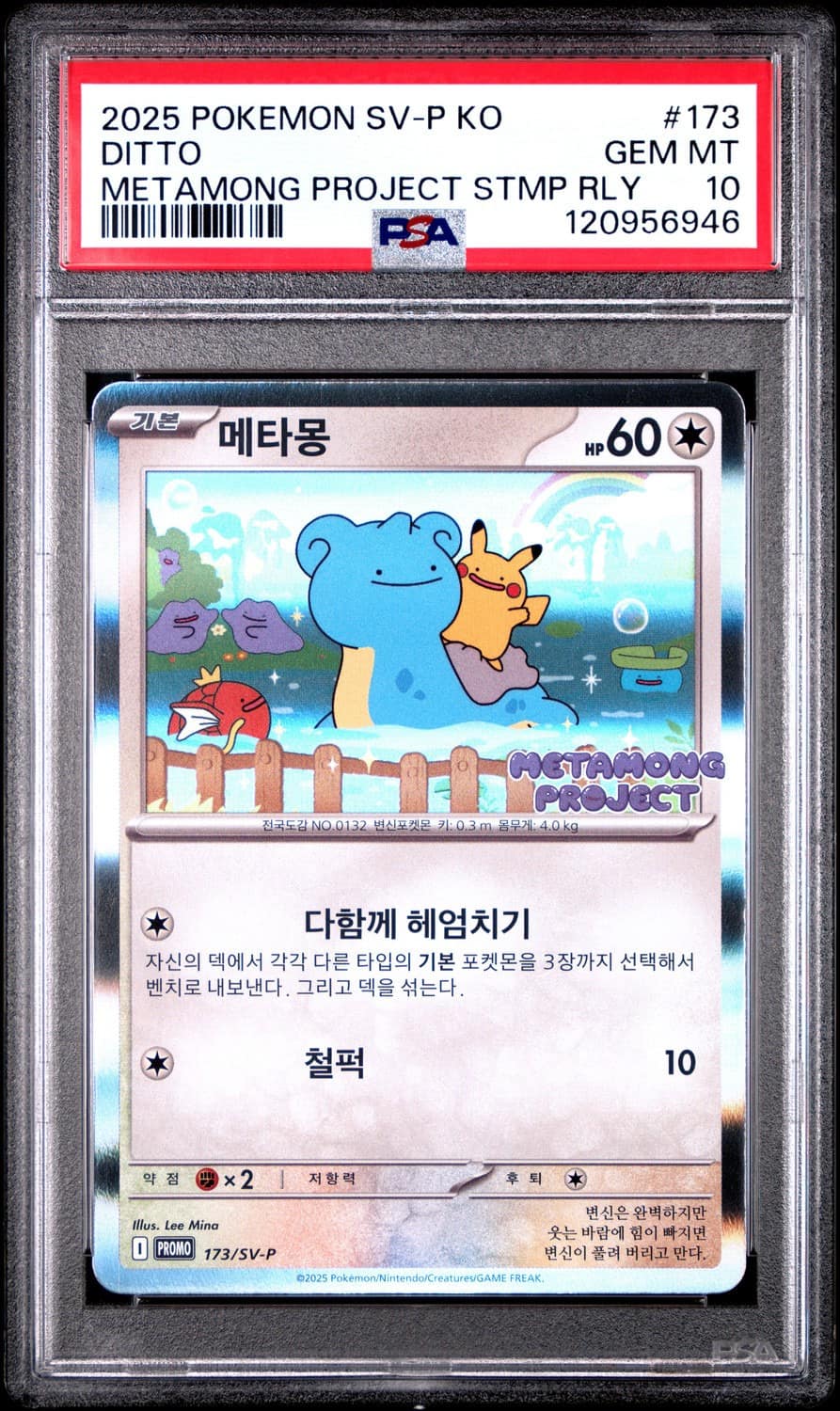 Ditto