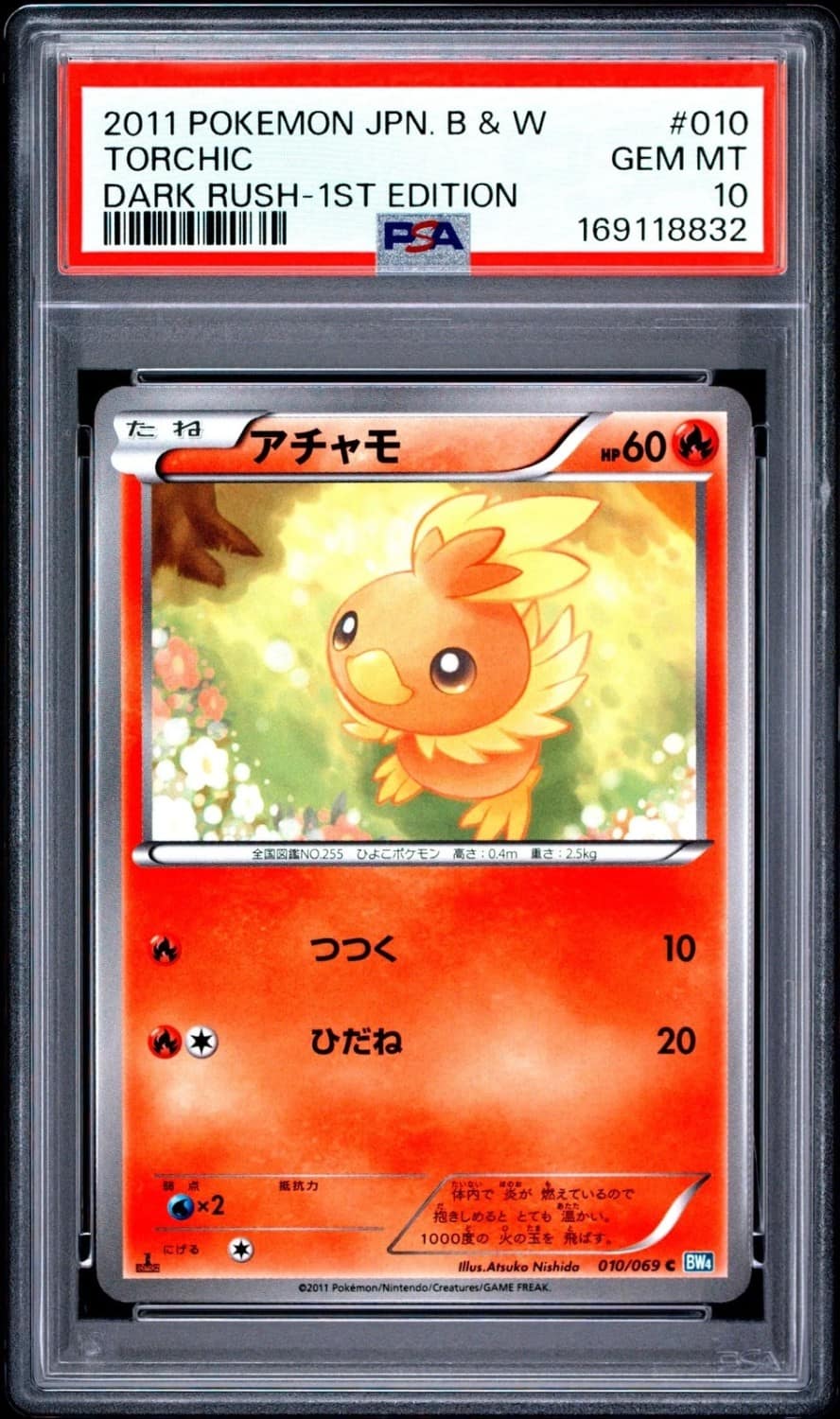 Torchic