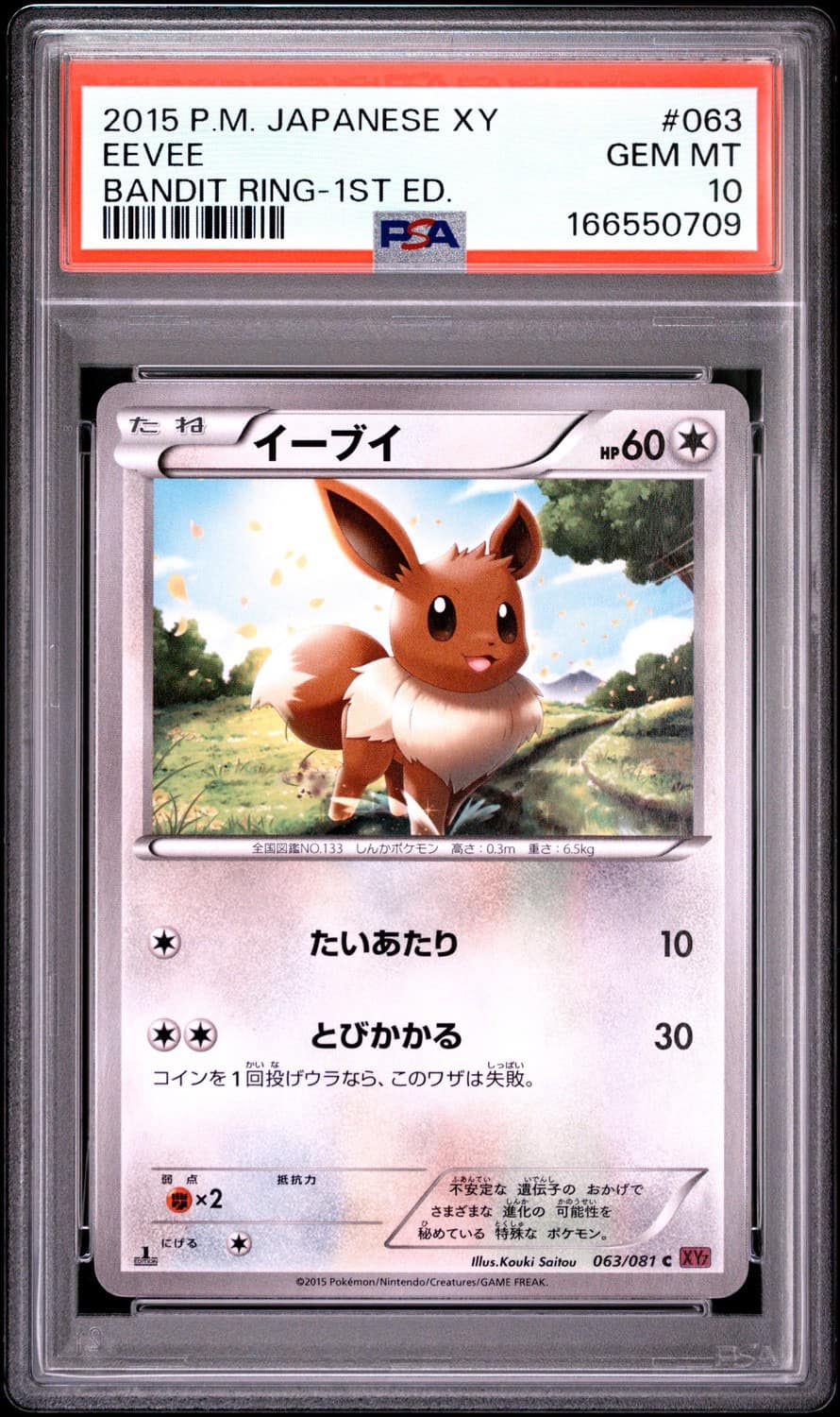 Eevee