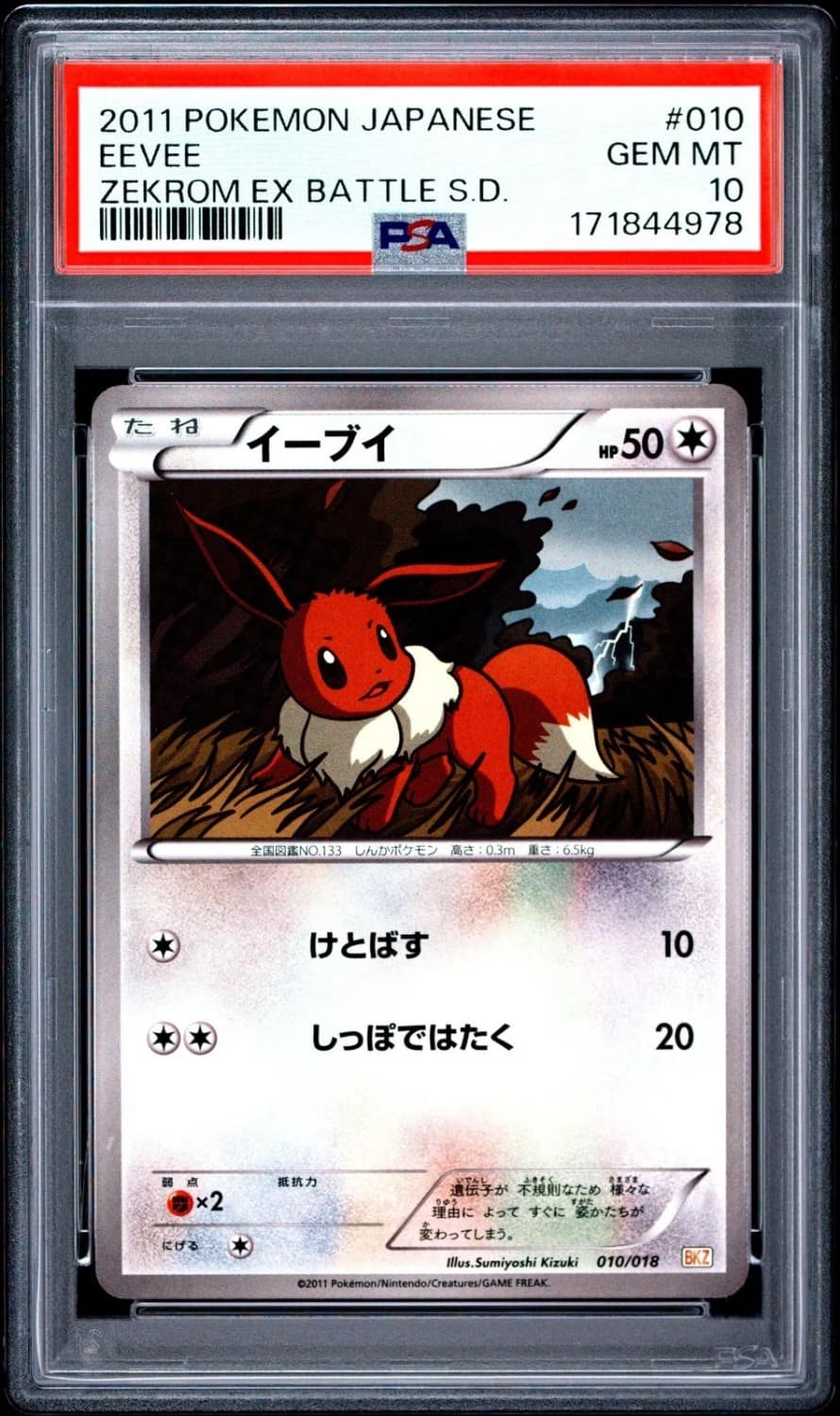 Eevee