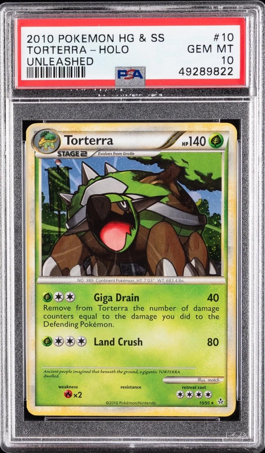 Torterra