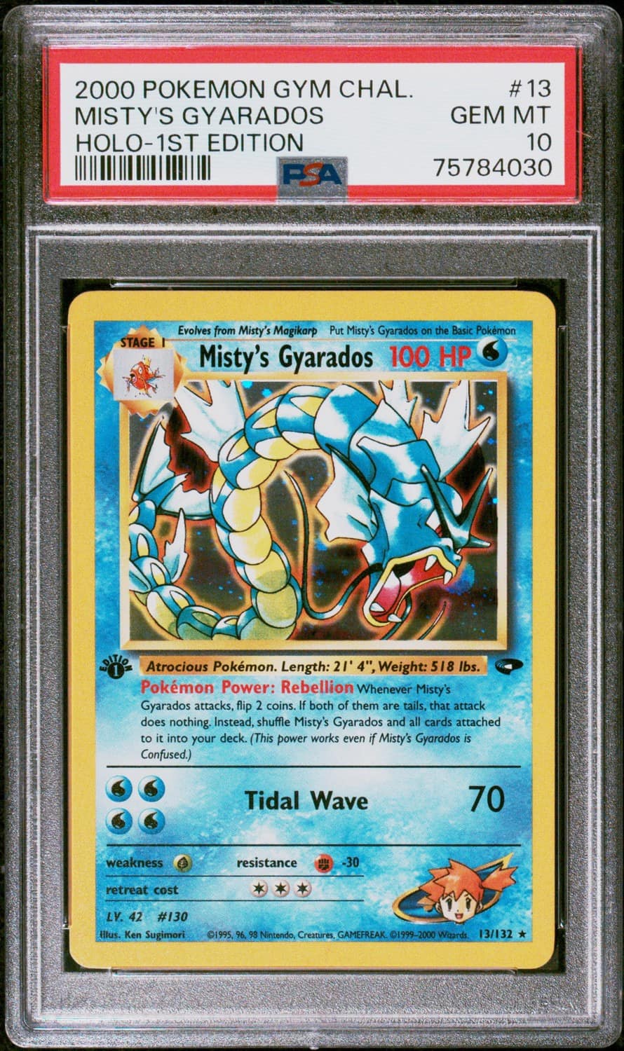 Misty'S Gyarados