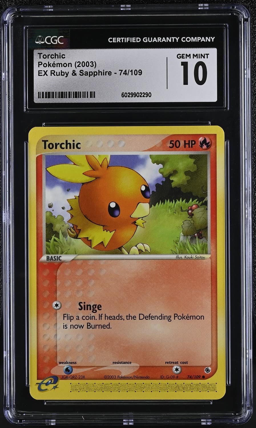 Torchic