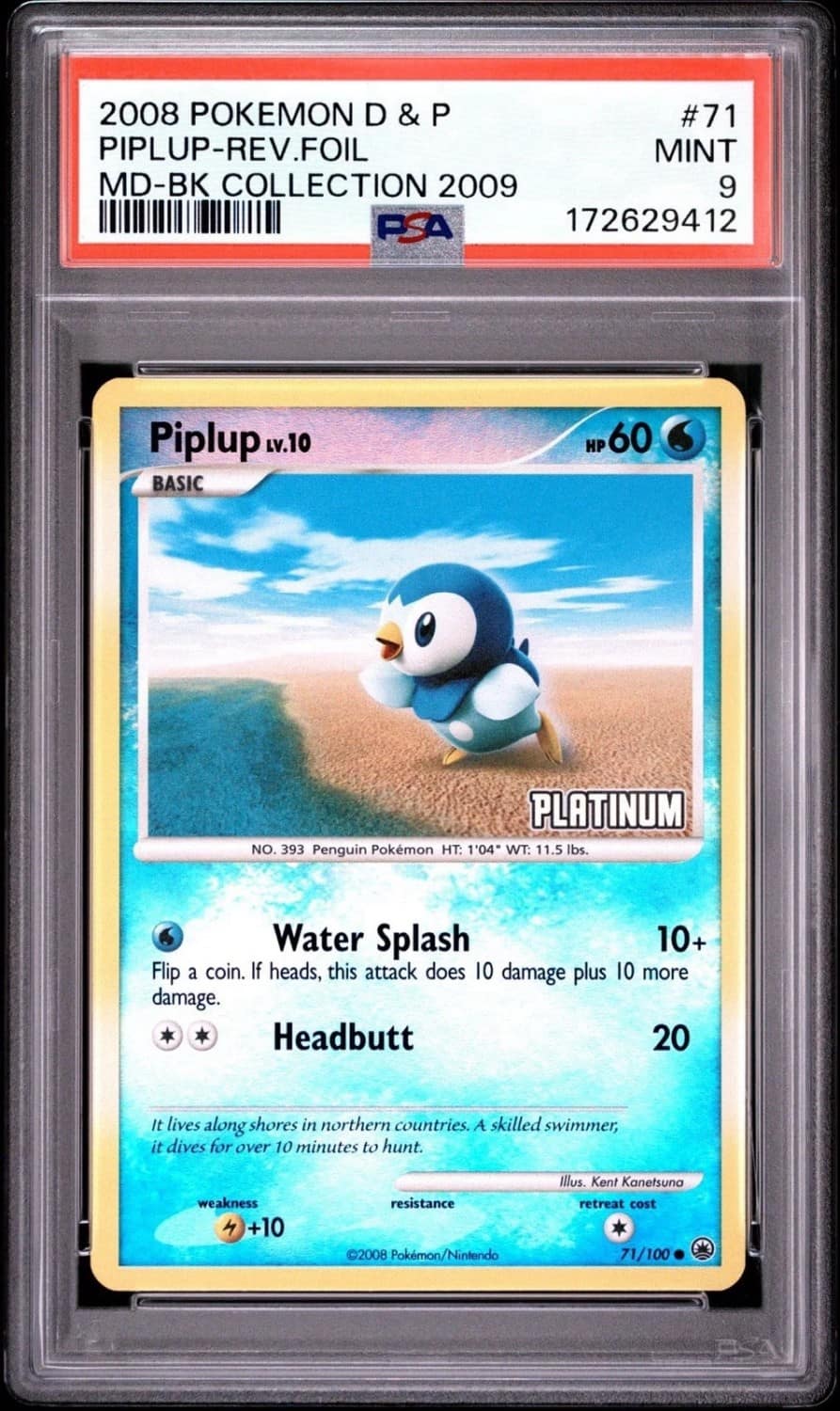 Piplup