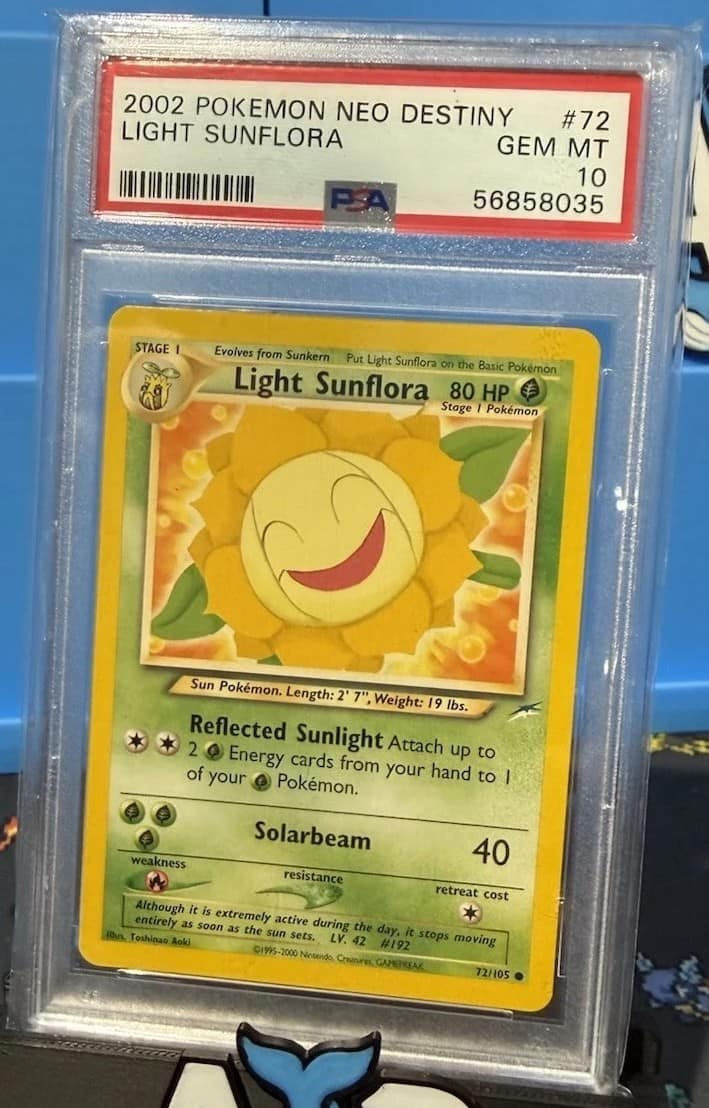 Light Sunflora