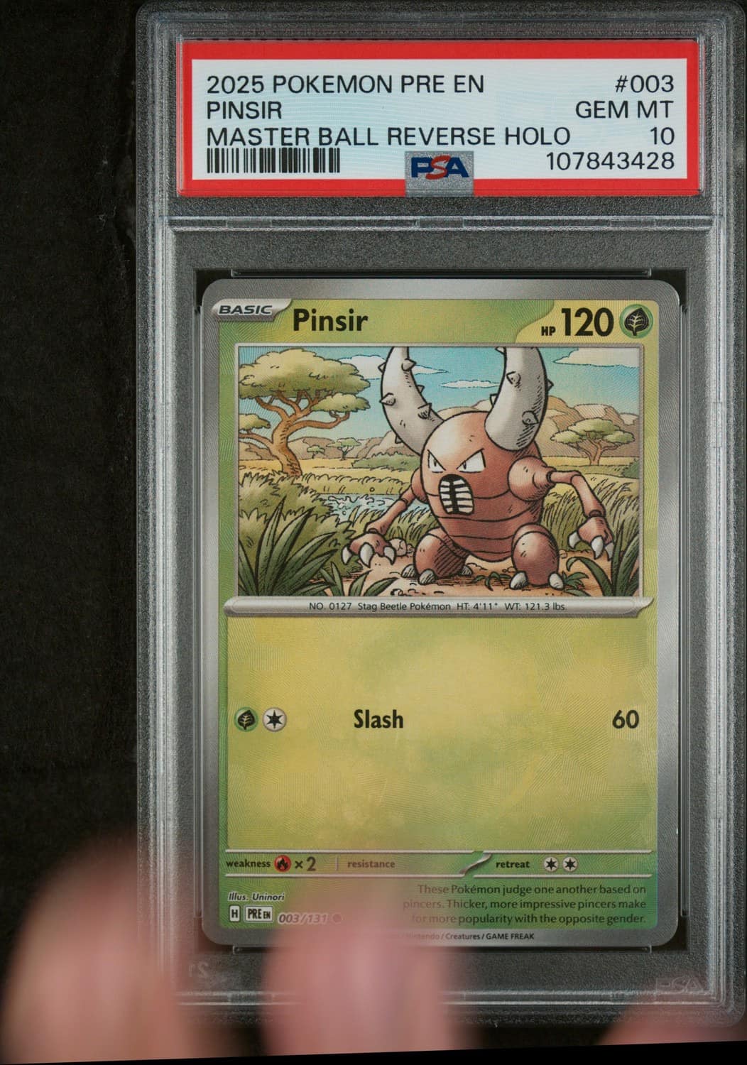 Pinsir