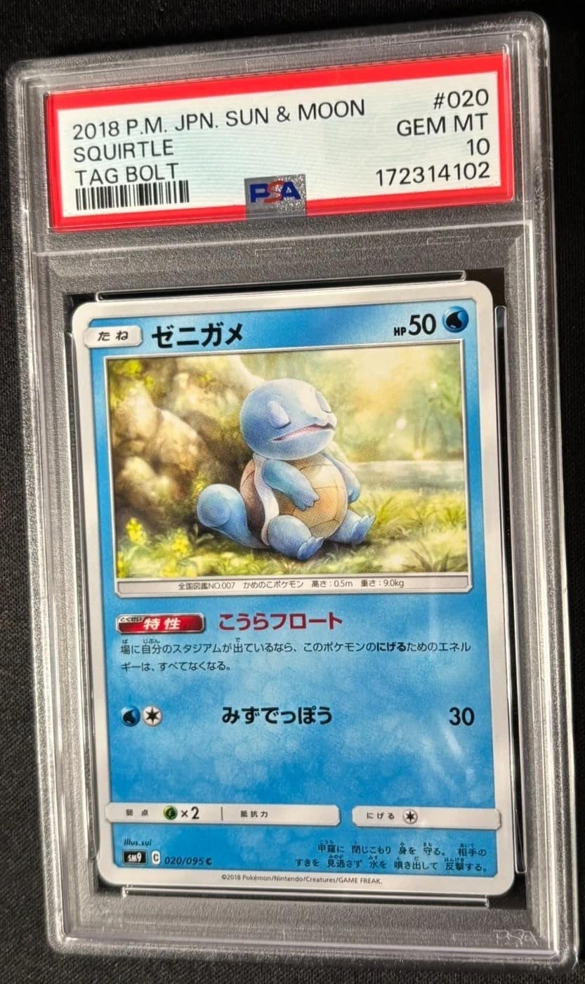 Squirtle