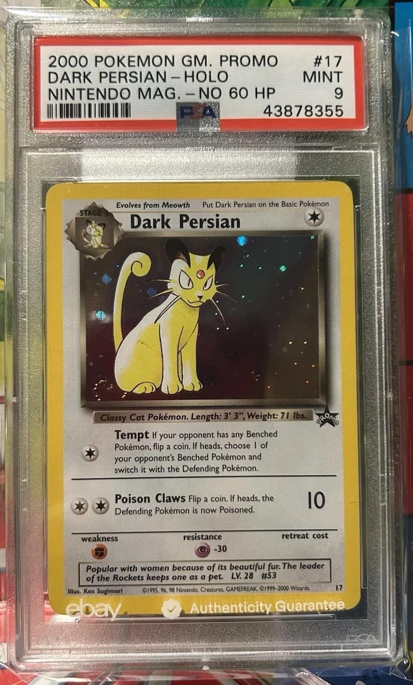 Dark Persian