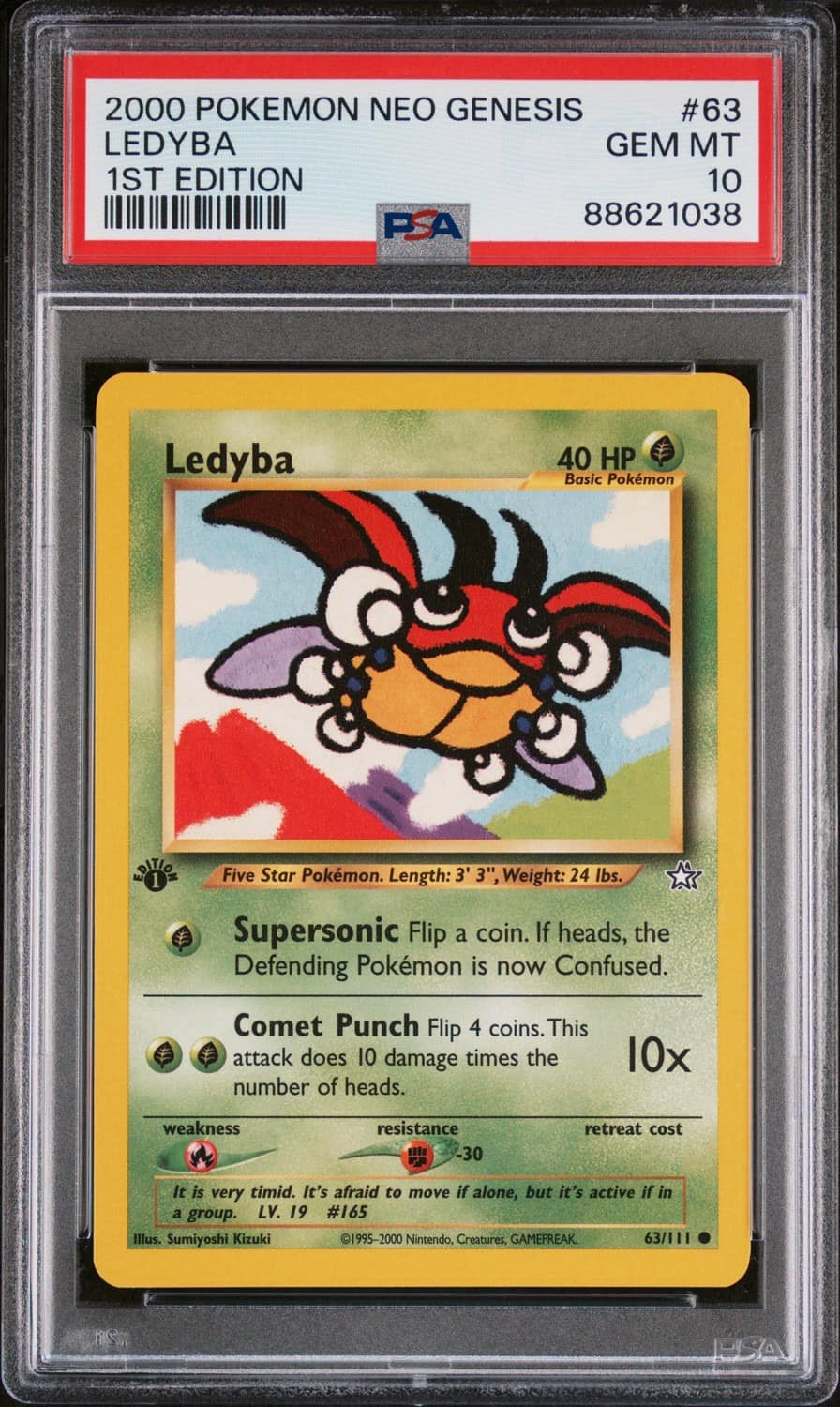 Ledyba