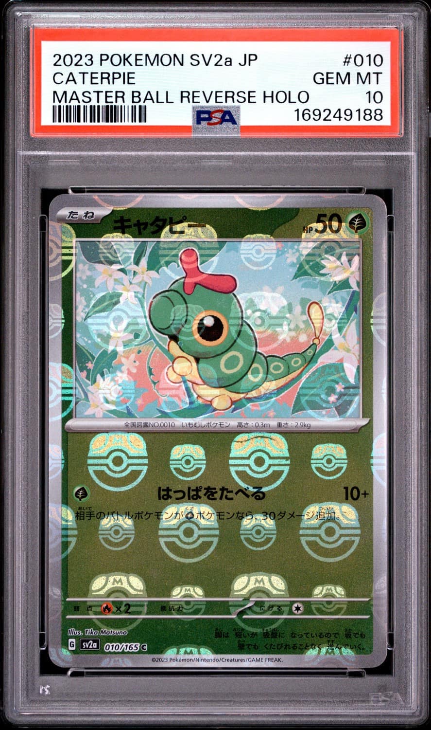 Caterpie