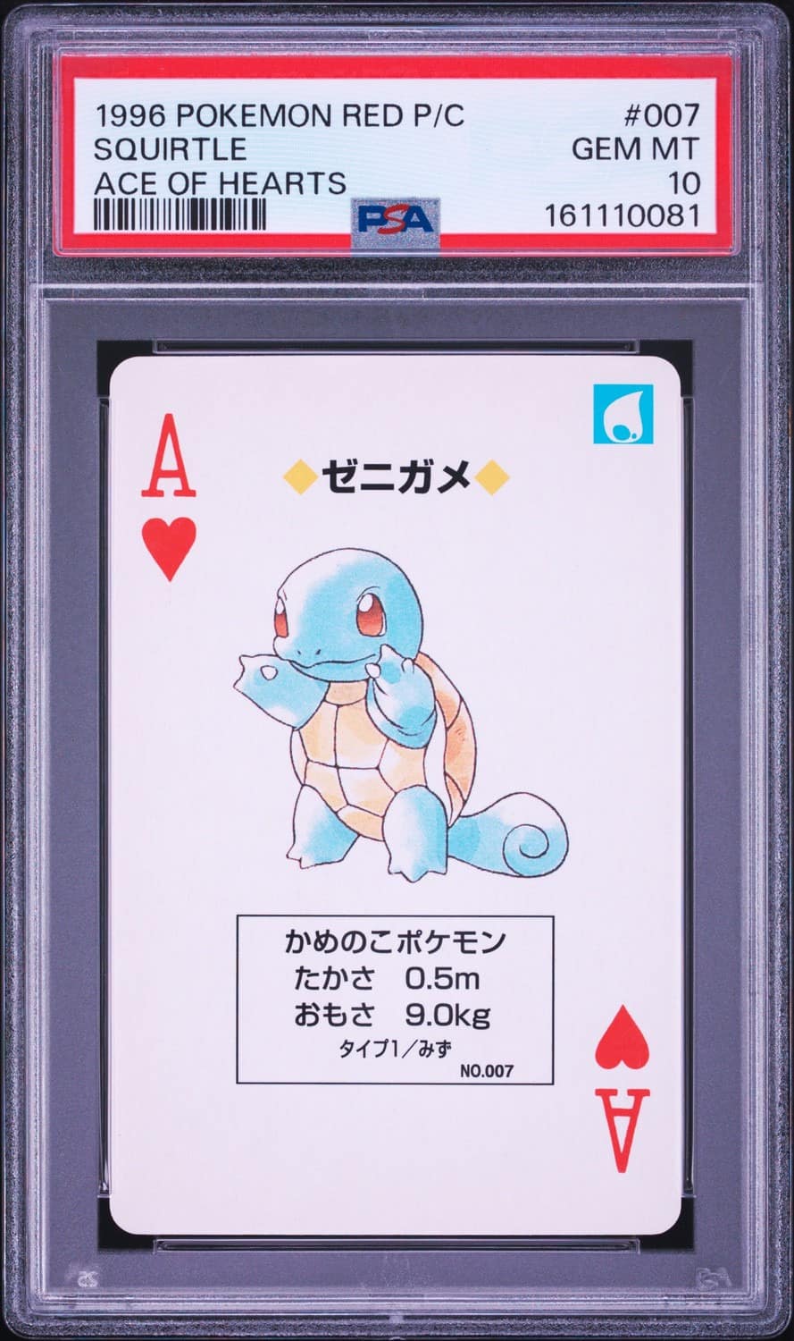 Squirtle