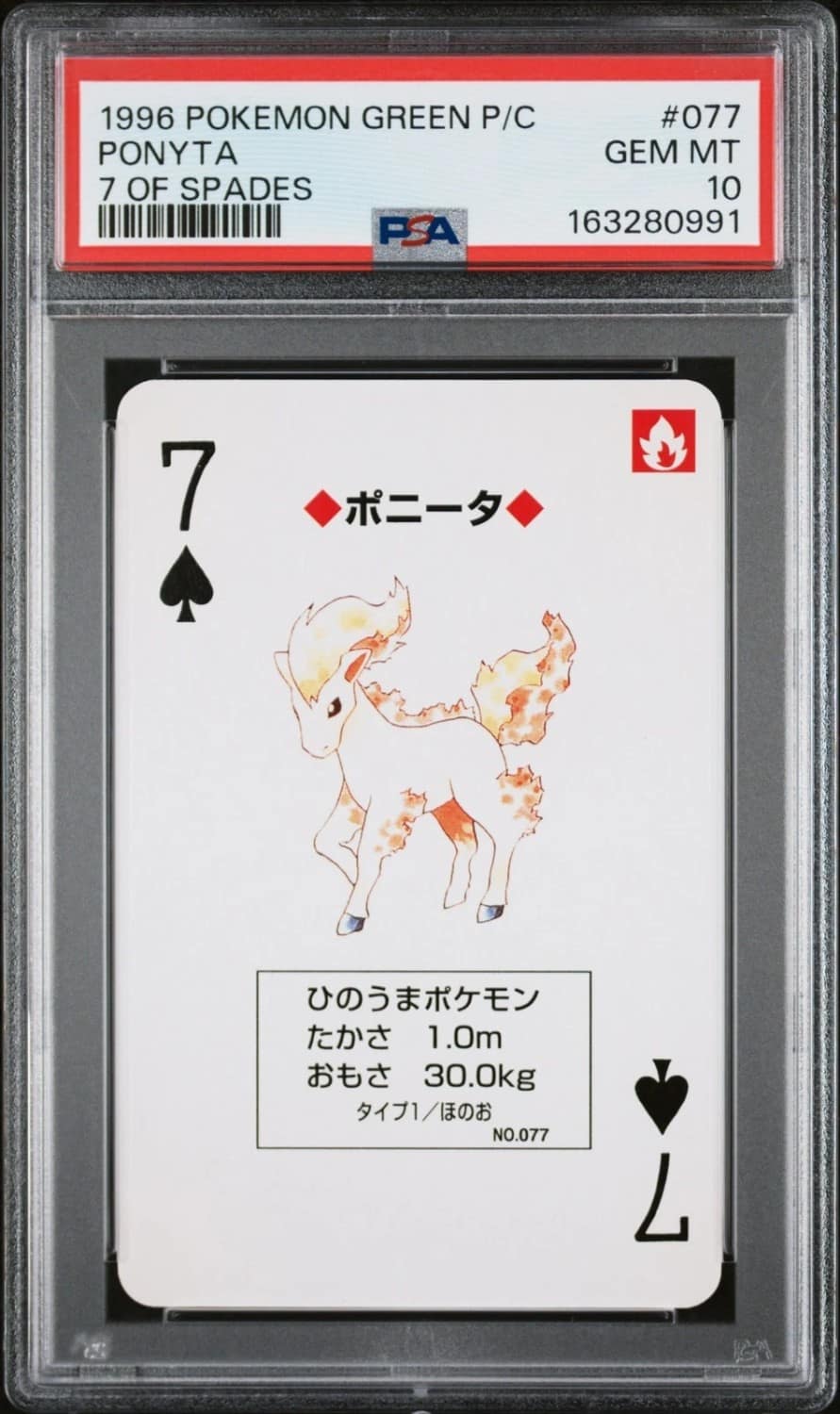 Ponyta