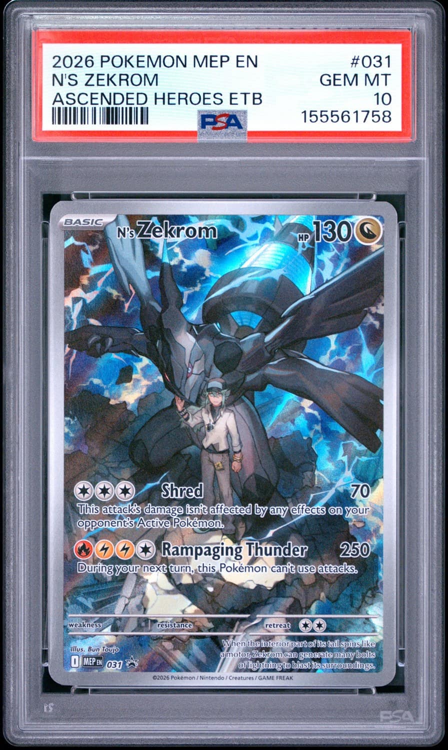 N'S Zekrom