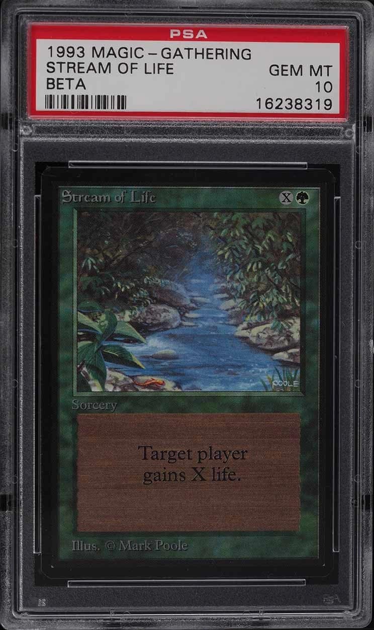 Stream Of Life