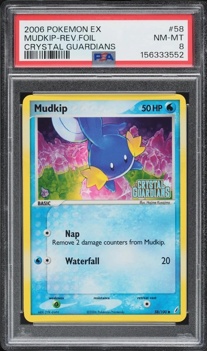 Mudkip
